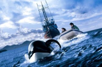 Фільми про китів та косаток