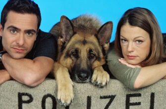 Фільми та серіали про поліцейських собак