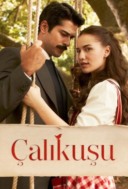 Çalikusu