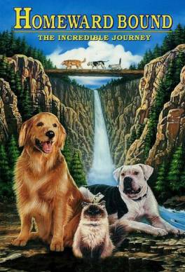 Homeward Bound