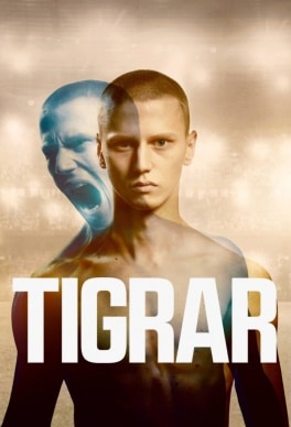 Tigrar 